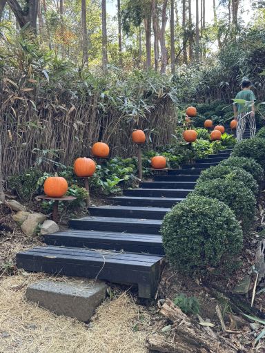 箱根/ニコライバーグマンガーデン🪴】ぜひハロウィン🎃の時期に行って