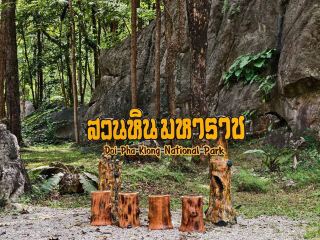 อุทยานแห่งชาติดอยผากลอง จ.แพร่ 🍂🍃
