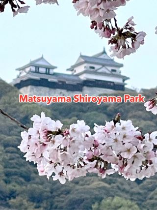 Matsuyama Shiroyama Park.