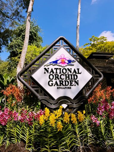必見スポット：ナショナル・オーキッド・ガーデン（国立蘭園