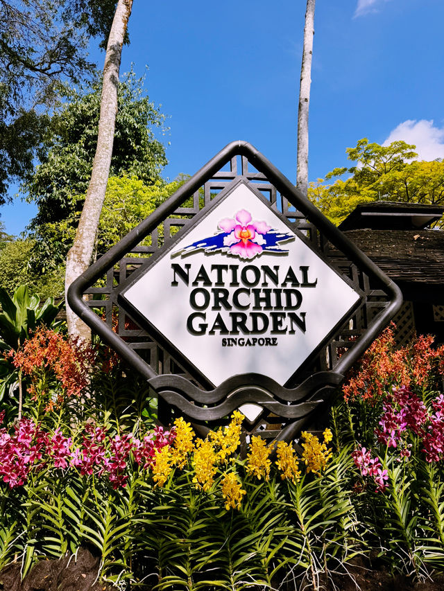 A Must-Visit: The National Orchid Garden 🌸 A Must-Visit: The National Orchid Garden 🌸