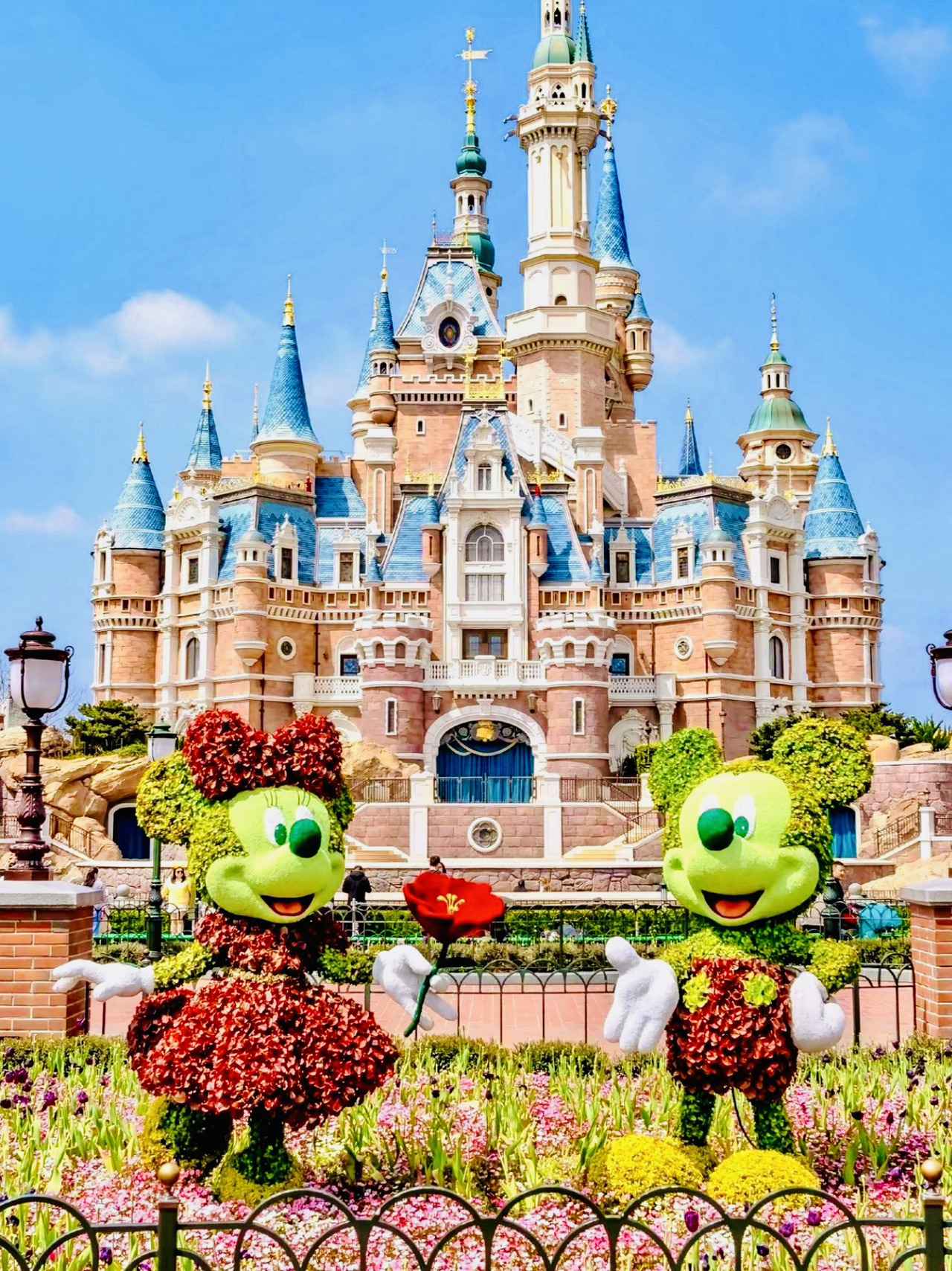 2026年 上海ディズニー・ズートピアお花見おすすめ| Trip Moments