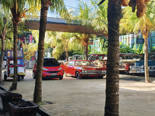 Kebon Vintage Cars - One of Bali's Most Unexpected Museums