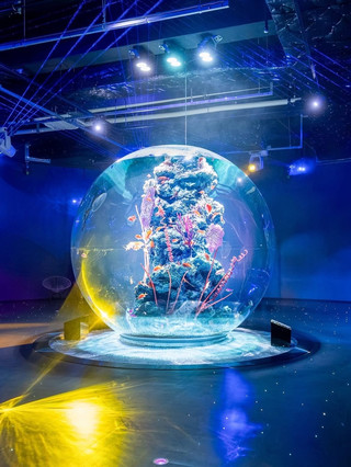 🎨🐠 神戶水族館－至今仍被低估的藝術水族館