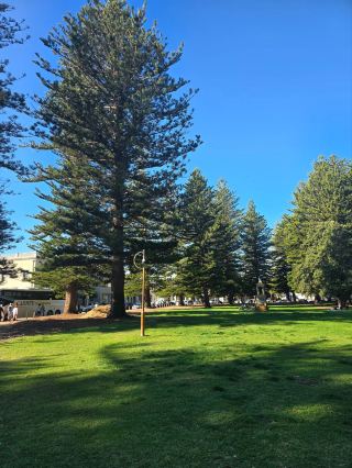 Esplanade Park’s green charm is at the heart of Fremantle—think shady palms, lively playgrounds, and a fresh sea breeze for a classic Aussie picnic vibe. 🌴🐬

Start your day strolling along Marine Terrace, soaking up Esplanade Park’s relaxed energy. Snap classic shots of the Ferris Wheel, especially at sunset, or catch action shots in the skate park for a real local feel. For families or anyone wanting chilled fun, the kids’ playground is a must. Grab a snack from nearby pop-up stalls—weekends often have food trucks or local events happening, giving you a taste of Fremantle’s creative scene.

My tip: If you visit on a Saturday or Sunday, get there by mid-morning. It’s less crowded, and you can snag the best picnic spots under tall Norfolk Pines. Bring a blanket, as benches fill up fast! Wheelchair access is good, but paths can get muddy after rain. The park is open from noon on weekdays, so plan your lunch accordingly if you’re visiting Monday–Friday—early birds will find the best shade.

For insta-worthy angles, photograph the Ferris Wheel backdropped by green lawns or the dramatic old Fremantle buildings. And don’t miss candid snaps of parrots or cockatoos if you spot them—they flock here often! Keep an eye on your stuff, as seagulls are bold and love shiny snacks.

Esplanade Park is an easy, low-fuss stop you can pop into between Fremantle’s museums, cafes, and beach walks. No entry fee, with all amenities close by.

#Fremantle  #EsplanadePark  #AustraliaTravel  #PicnicSpots  #UrbanNature  