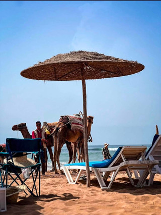 🇲🇦 Morocco — A Journey Through Colors, Culture & Timeless Beauty ✨