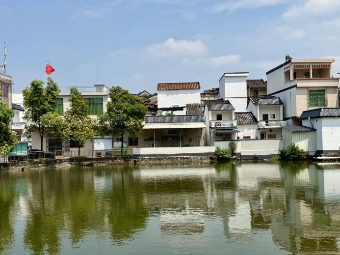 🇨🇳廣東肇慶高要600年古村體驗 吃新鮮蘑菇🍄‍🟫+必買手工竹藝小物 復古感爆燈