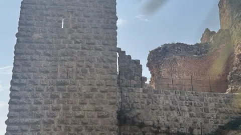 🇯🇴🏰 Ajlun Castle — An Ancient Hill Citadel in Jordan
Ano — traveler post in Amman