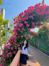 앞으로 한달 뒤 만날 수 있는 서울 장미스팟🌹