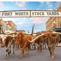 Stockyards for fun