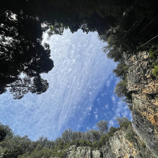 Lamington national park