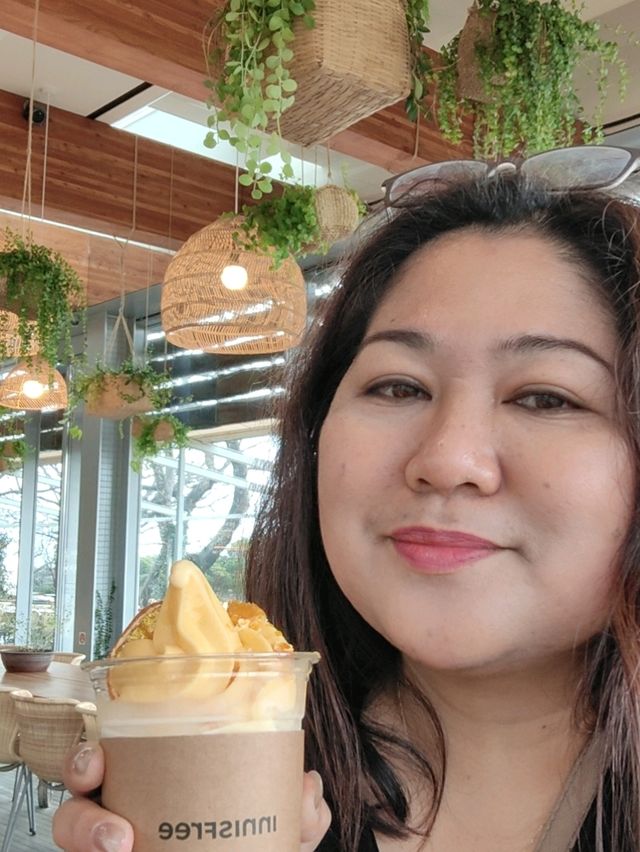 Innisfree Haven: Jeju's Green Retreat