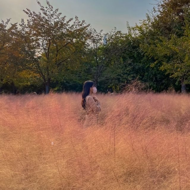 잠실 나들이 - 올림픽 공원(feat. 핑크뮬리)🌱