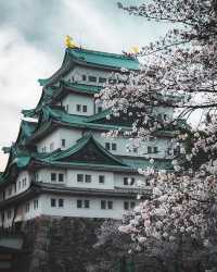 Must visit when traveling to Nagoya