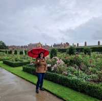 🌿 Hampton Court Maze! 🏰🌼