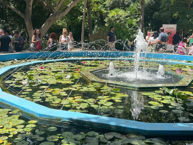 Autumn at Botanical Garden Cagliari 🗺️