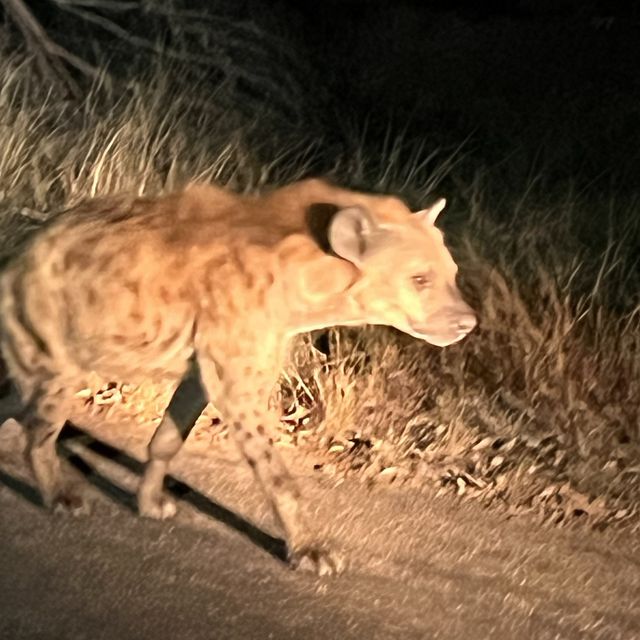 Kruger National Park