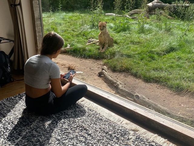 West Midland Safari Park 🇬🇧