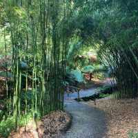 Tropical garden hidden in Cornwall