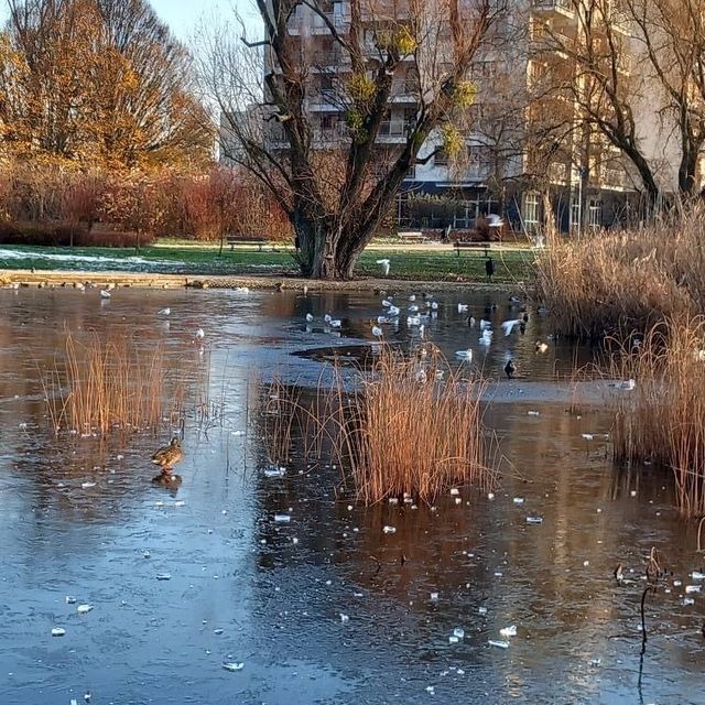 Love autumn in Park Edwarda Szymańskiego 😍