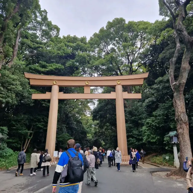 🌸 Discover the Serenity: Tokyo's Yoyogi Park 