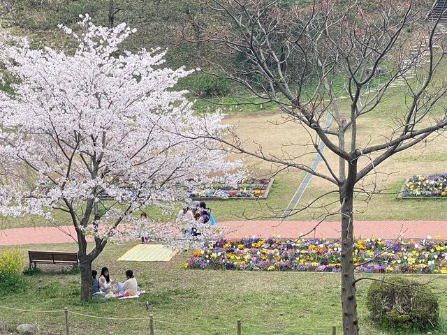 Mitsuike Park 🇯🇵