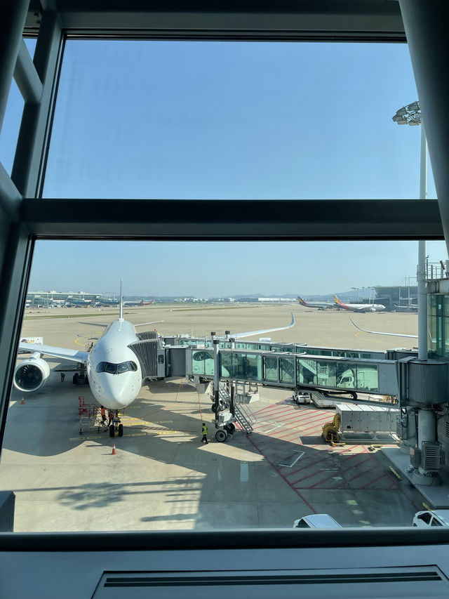 여행의 시작은 공항✈️