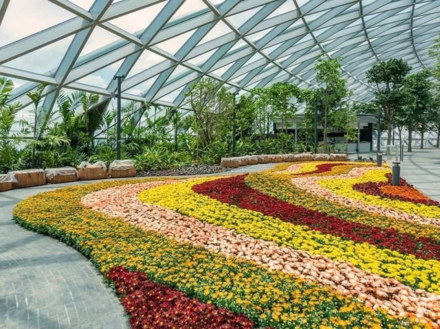 Canopy park of Jewel Changi