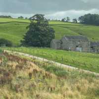 Into the Valley: Scenic Drives and Endless Views