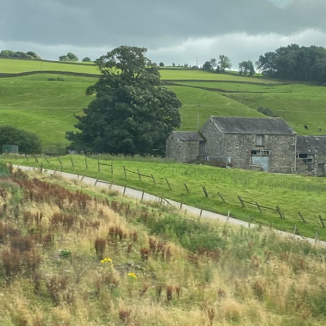 Into the Valley: Scenic Drives and Endless Views