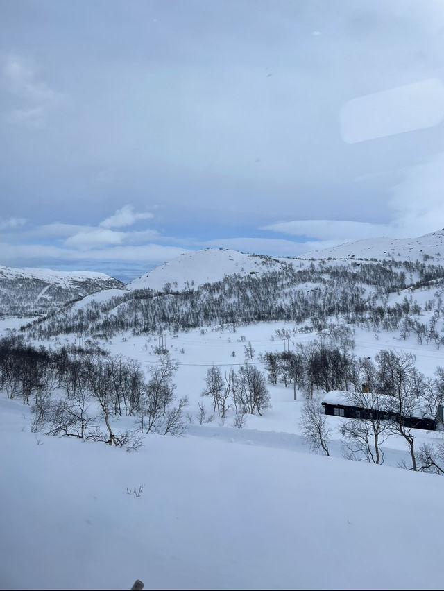 【挪威縮影火車必乘搭：沿途雪白美景十分美！】
