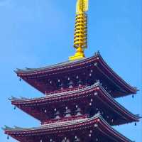Timeless Beauty: Exploring Japan’s Soulful Wonders