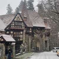 Winter Walks in Wallachia