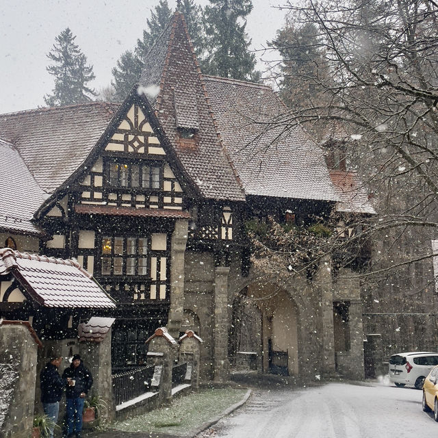Winter Walks in Wallachia