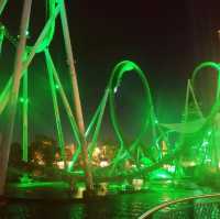 Theme park fun and alligators 
