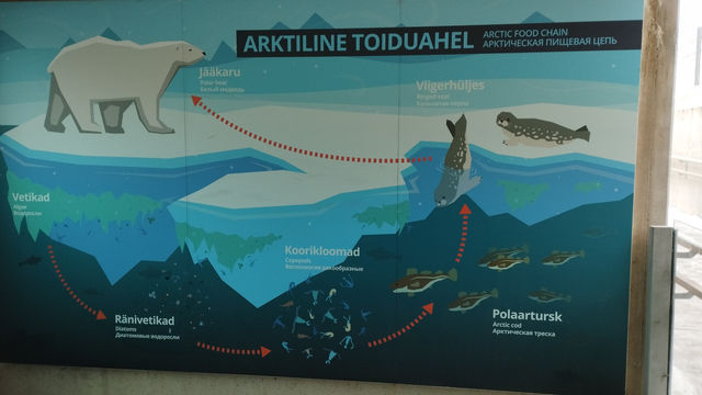 Tallinn Zoo - Estonia