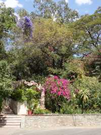 Exploring Udaipur: A City of Lakes and Palaces
