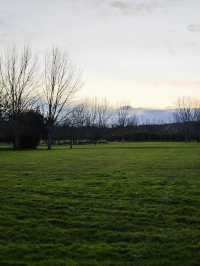 🌿 Gijón’s Parks – A Breath of Fresh Air! 🌳