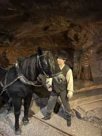 🇵🇱 波蘭維利奇卡鹽礦（Kopalnia soli Wieliczka）⛏️