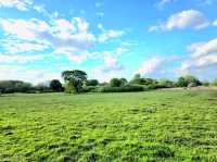 A Perfect Summer Day at Birmingham Airport Viewing Area – A Hidden Gem in Sheldon Country Park