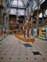 Fossils and Foundations: Discovering Oxford's Natural Wonders