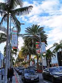 LA afternoons: culture, palm trees, and golden hour glow
