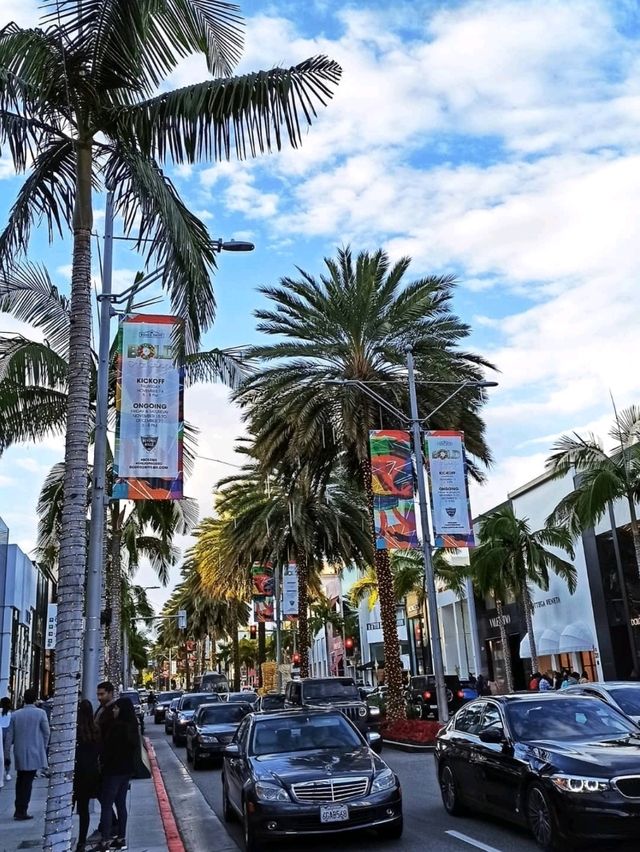 LA afternoons: culture, palm trees, and golden hour glow