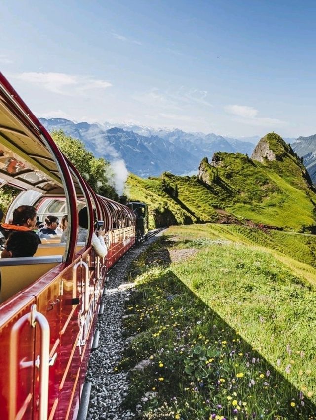 Wooden Charm & Alpine Dreams