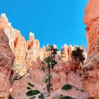 The Mighty 5 in 5 Days: Utah’s Ultimate Road Trip