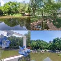 Little parks in Shanghai, little water worlds in the heart of the city
