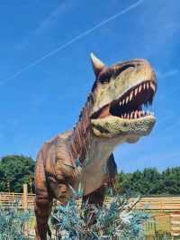 manorafon farm visit 