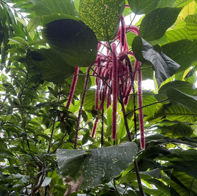 Escape the City: Kew Gardens – London’s Secret World of Green