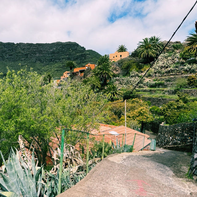 Tenerife on a Budget: Sun, Volcanoes & Adventure Tenerife on a Budget: Sun, Volcanoes & Adventure