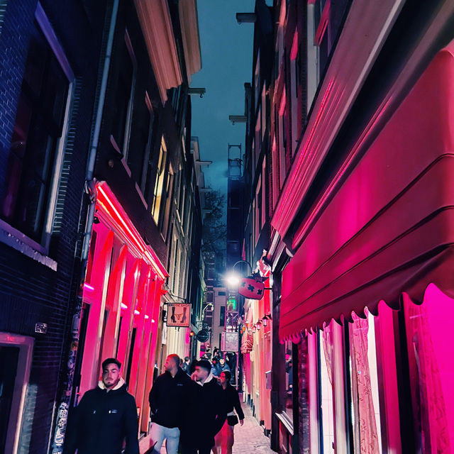 Amsterdam on a Shoestring: Canals, Parks & Local Life